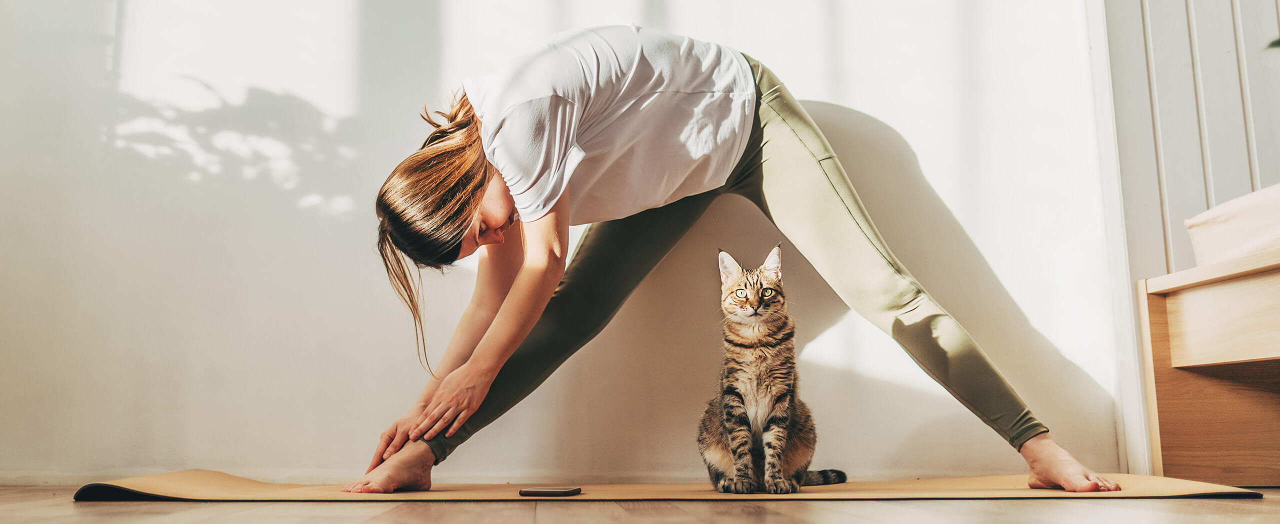 Person relaxing at home with a cat, planning next steps on a home purchase.